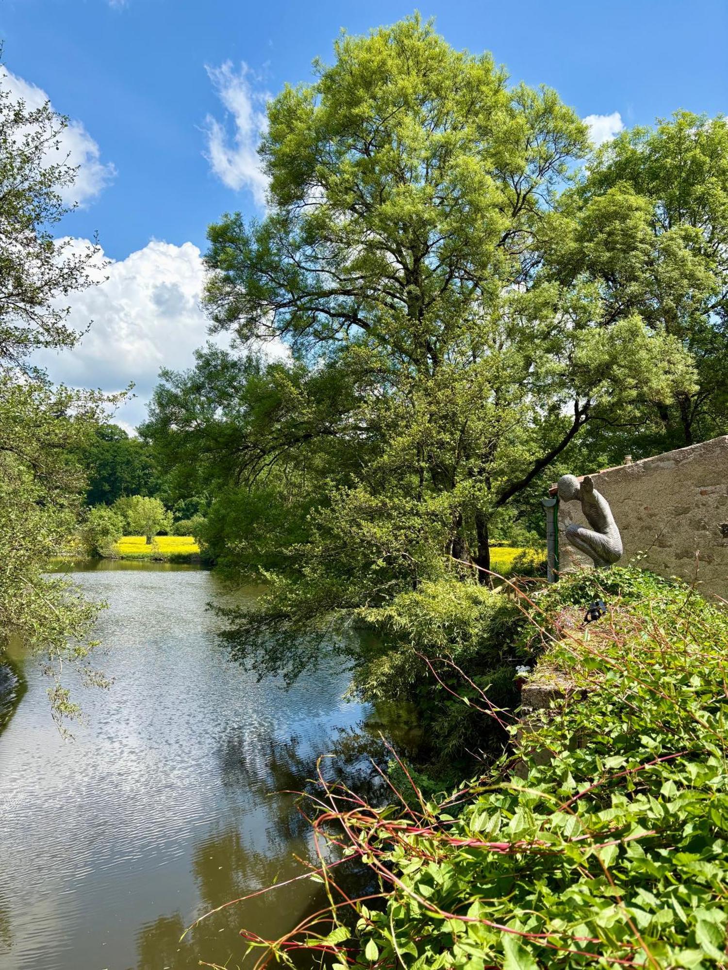 Le Moulin Du Guy, Proche Du Puy Dufou Bed & Breakfast Chanverrie Eksteriør bilde